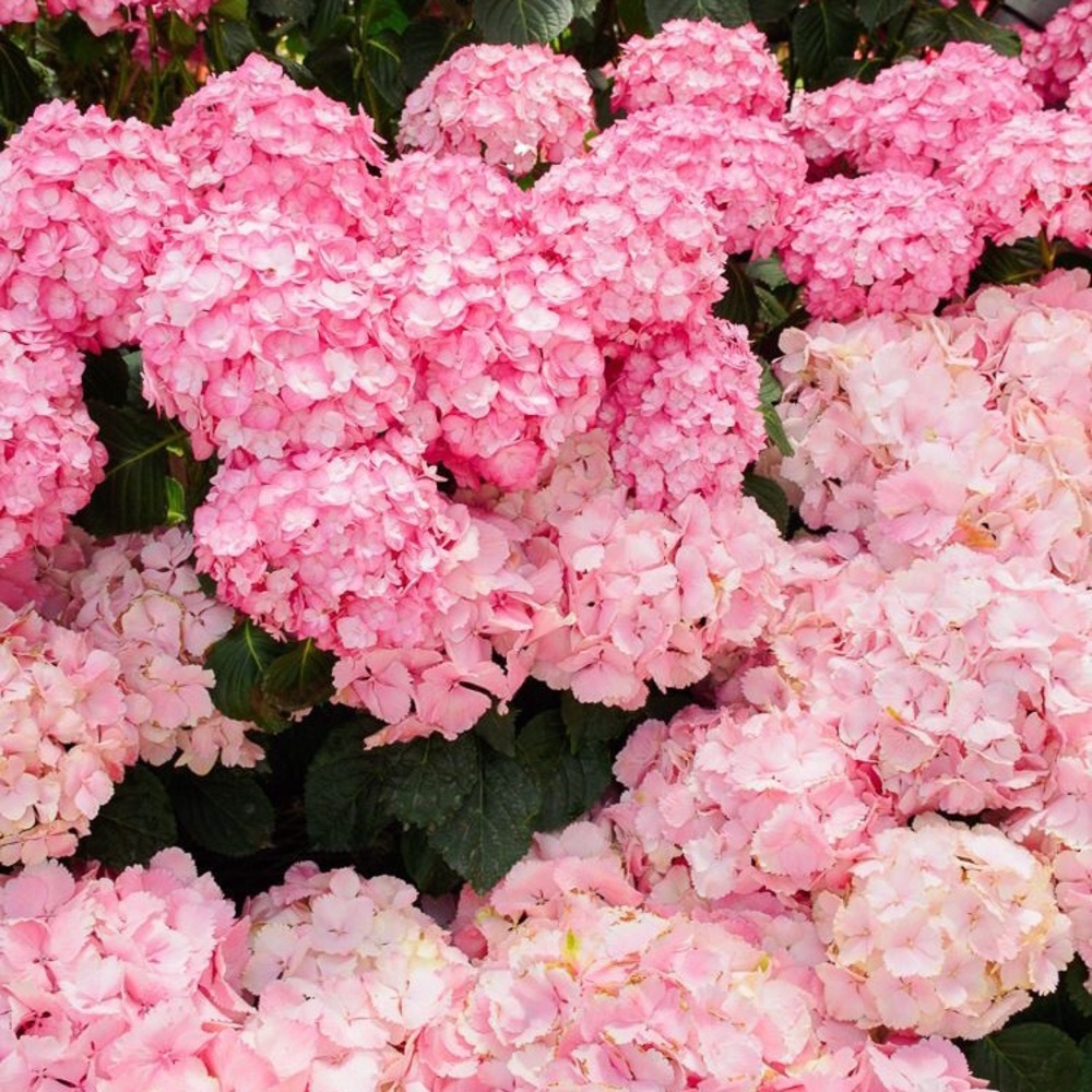 Send Me Offers, Prices Flexible!